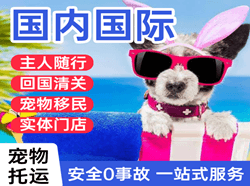 秦皇岛机场邮寄国际宠物托运 【国